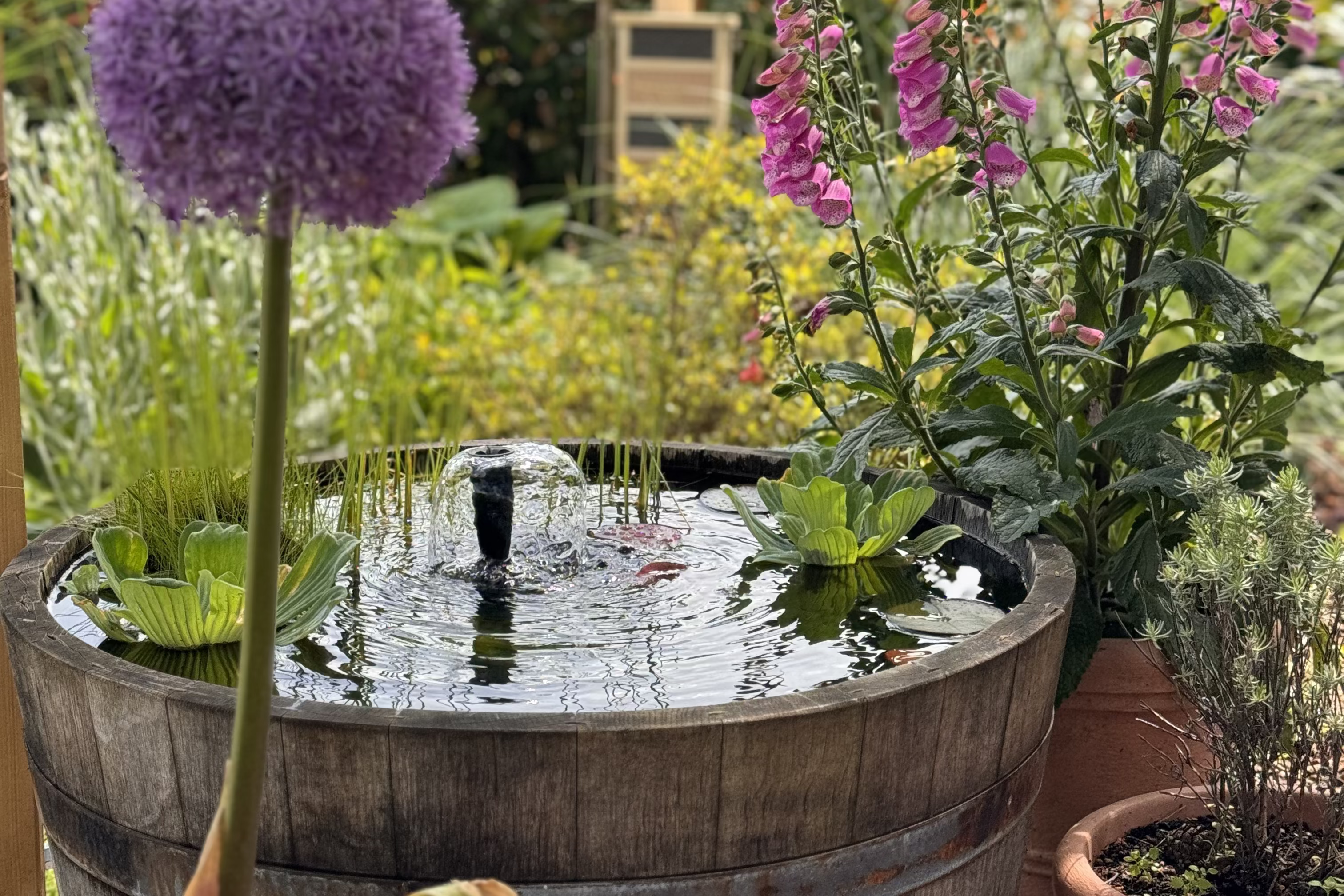 Weinfass Miniteich im Garten umgeben von blühenden Pflanzen