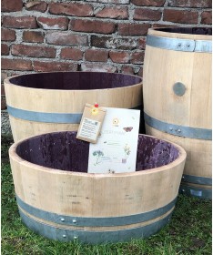 Pflanzkübel aus gebrauchtem Weinfass - BeePart Aktion