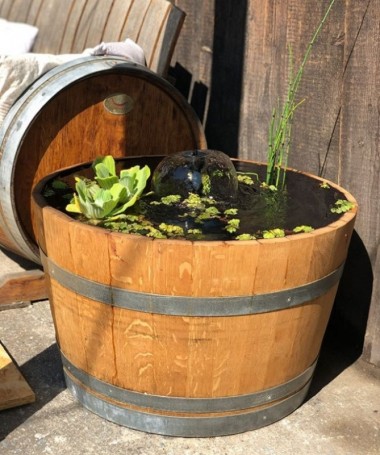 Mini-Teich aus gebrauchtem Weinfass