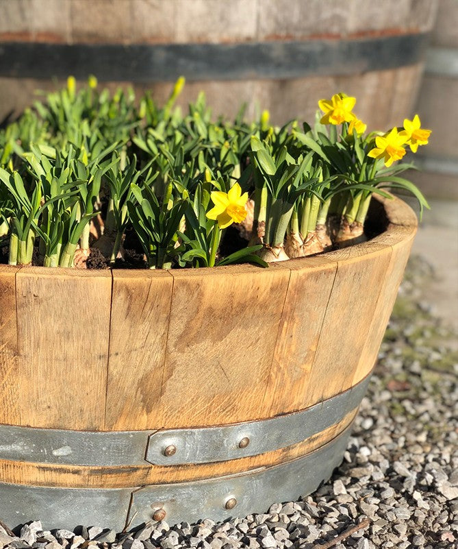 Blumenkübel aus 1/4 gebrauchtem Weinfass natur