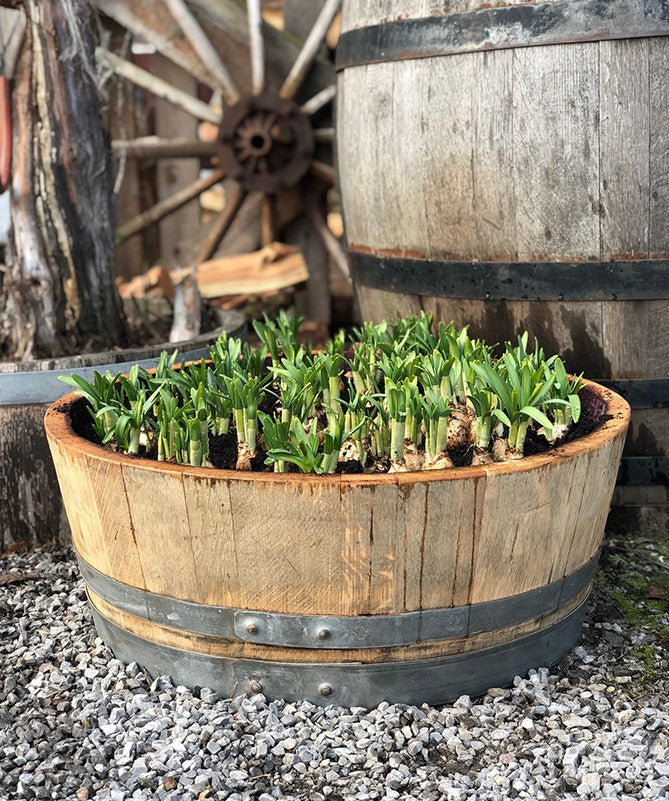 Blumenkübel aus 1/4 gebrauchtem Weinfass natur