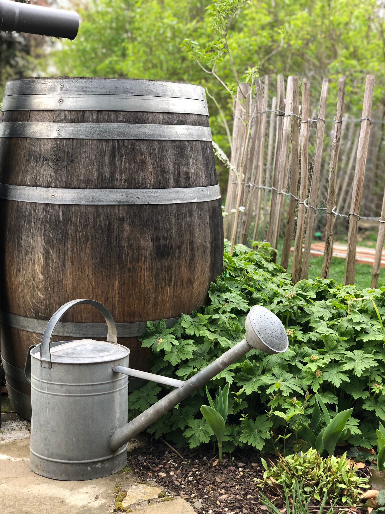 225 Liter Regentonne / Regenfass aus Weinfass